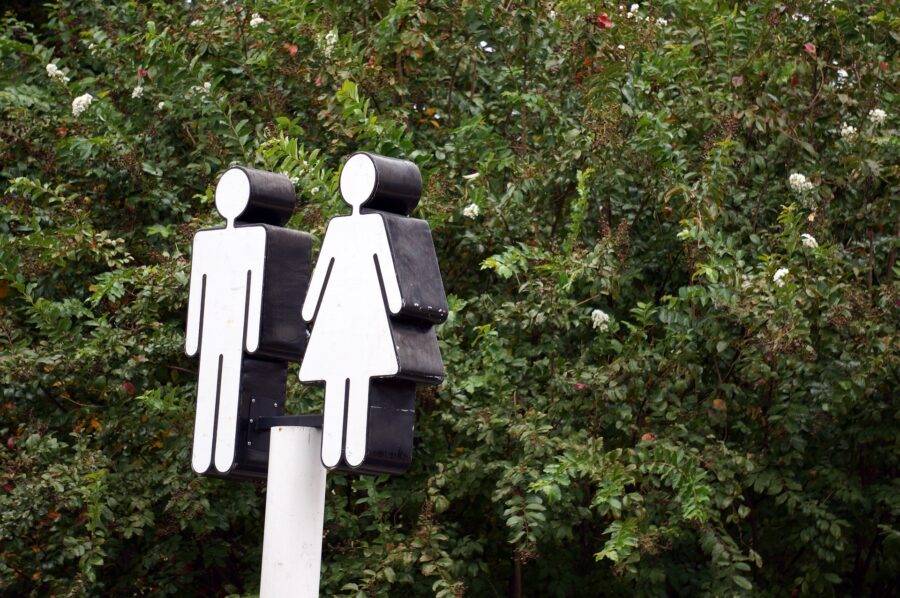 Deconstruction Of Sex-Related Biology