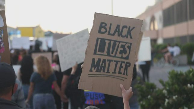 The Organizational Structure of Black Lives Matter